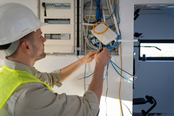 Best Electrical System Inspection  in Lanse, MI